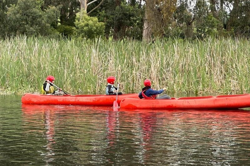 Year  5 and 6 Girls Camp Jungai